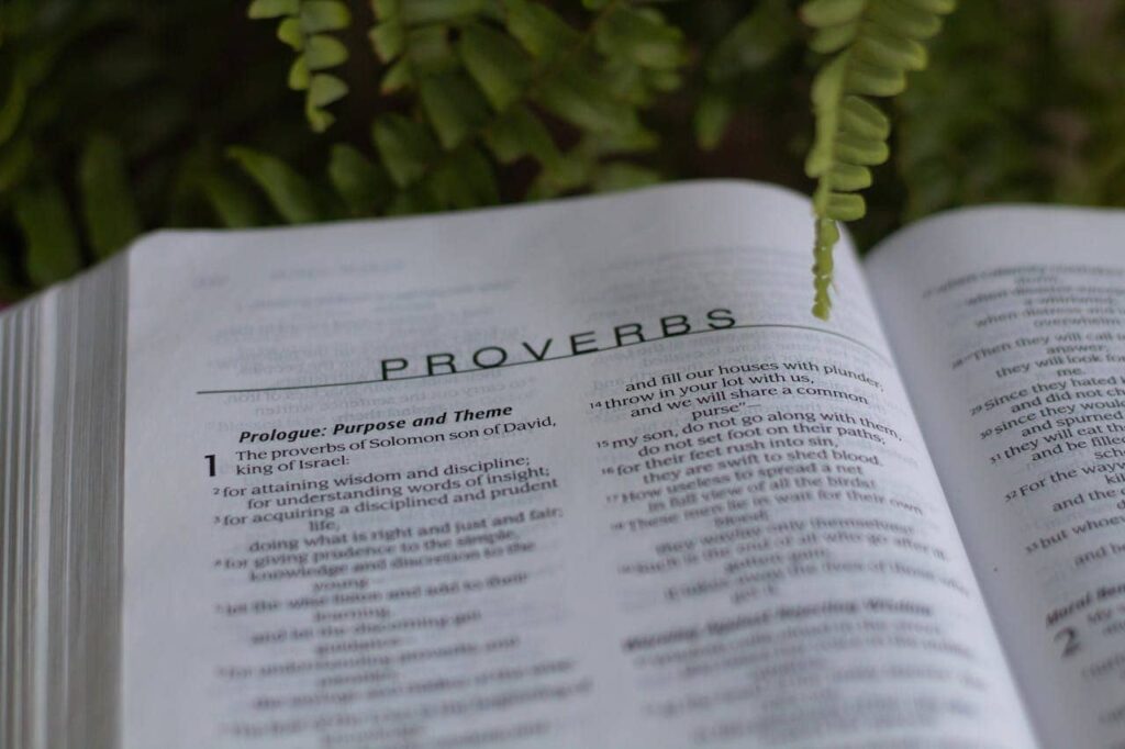 Libro de proverbios y refranes para aprender inglés con Clasing.
